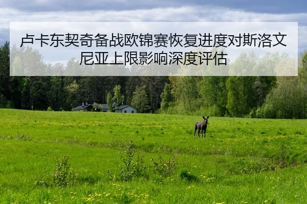 lu-ka-dong-qi-qi-bei-zhan-ou-jin-sai-hui-fu-jin-du-dui-si-luo-wen-ni-ya-shang-xian-ying-xiang-shen-du-ping-gu-2-423.jpg