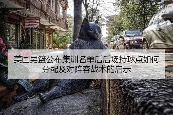 美国男篮公布集训名单后后场持球点如何分配及对阵容战术的启示